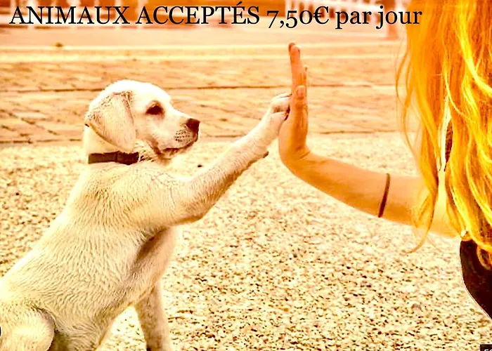 Bungalows En 3Ch 8 Couchages 732 Ou 4Ch En 10 Couchages 828 Ocean